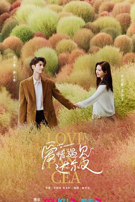 干扰码影响seo优化吗